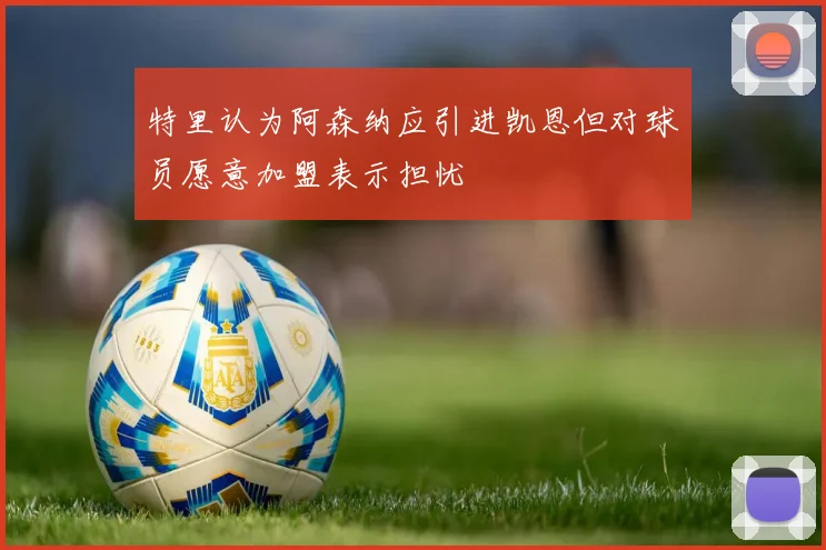 特里认为阿森纳应引进凯恩但对球员愿意加盟表示担忧